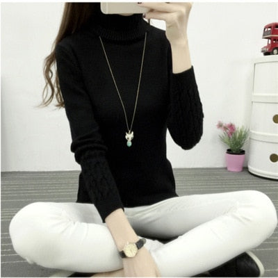 Women Turtleneck Pullover Sweater New Hot women Autumn Winter Solid Basic Knitted Sweater Female Fashion Wild Knitwear Sweater