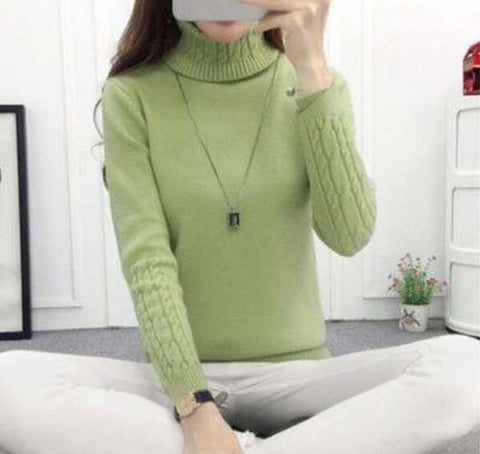 Women Turtleneck Pullover Sweater New Hot women Autumn Winter Solid Basic Knitted Sweater Female Fashion Wild Knitwear Sweater