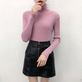 2019 autumn winter Women Knitted Turtleneck Sweater Casual Soft polo-neck Jumper Fashion Slim Femme Elasticity Pullovers